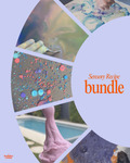 Sensory Recipe Bundle